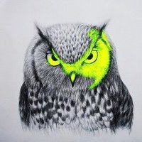 Степан Важенин