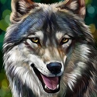 Стас Никитин