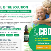 bettertodayherbaldrops