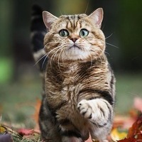 Дмитрий Зентер