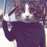 Meowth