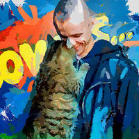 Мир кошек  в одном доме.