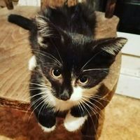 Станислав Булочников