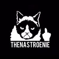 thenastroenie