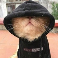 Ivan
