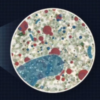 Redefining Human