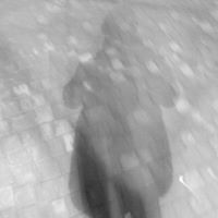 Ion Dudca