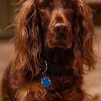 Олеся Кожара