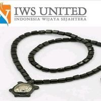 Leader Iws