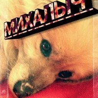 Михалыч
