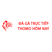 Đá gà trực tiếp Thomo hôm nay
