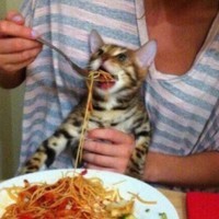 Worldclass_GarethBale