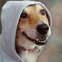 DankeroniAndCheese