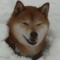 Foxra