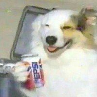 billymaysmassivedong_v2