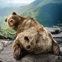 Aleksandr