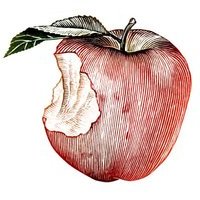 pijma