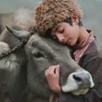 ნაცარქექია