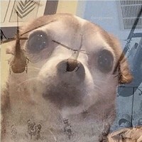 Dank_Dog