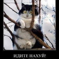 Aleksey 