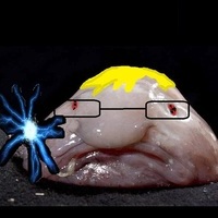 Bill Bill