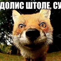 Георгий Бесфамильный