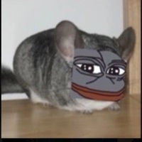 DankChinchilla