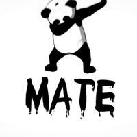 Máté Major