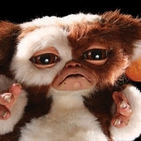 lil gizmo