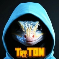 TryTON