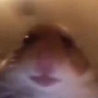 Li