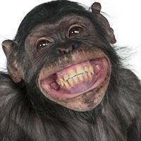 Олійник Андрій