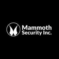 Mammoth Security Inc. Old Saybrook