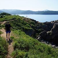 Григорий Старицын