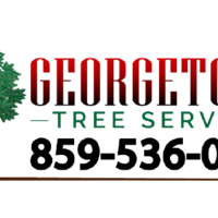 Georgetown Tree And Stump Service