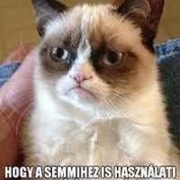 hávütücsüble