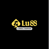 LU88 SACOMPANY
