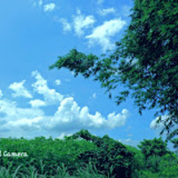 গেরকার বিল