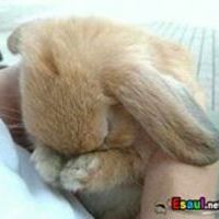 Михаил Парсуков
