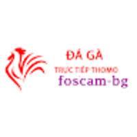 Đá Gà Trực Tiếp Thomo Hôm Nay