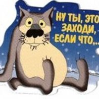 onlyhumor
