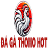ĐÁ GÀ THOMO HOT
