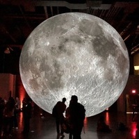 Life on Artemis