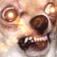 CM