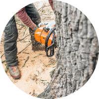 Tree Service Kalamazoo MI