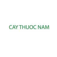 Cây thuốc nam