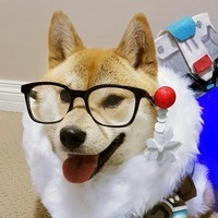 OverwatchDaily_ (iFunny)
