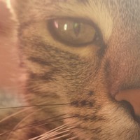 MegaBass_HD