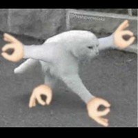anyad_segge