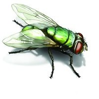 爪ㄩ卄-匚ㄖҜㄖㄒㄩ卄